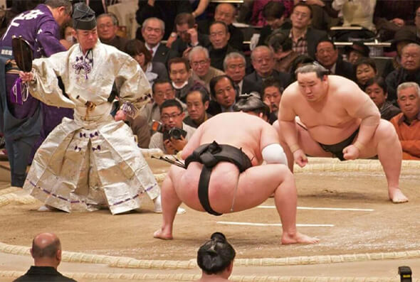 Các võ sĩ Sumo Nhật Bản.